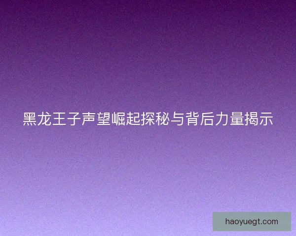 黑龙王子声望崛起探秘与背后力量揭示