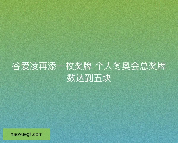 谷爱凌再添一枚奖牌 个人冬奥会总奖牌数达到五块
