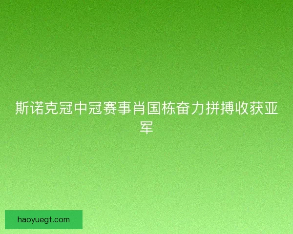 斯诺克冠中冠赛事肖国栋奋力拼搏收获亚军