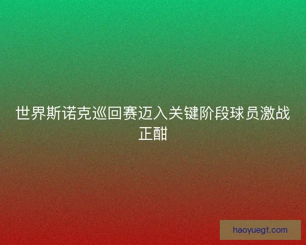 世界斯诺克巡回赛迈入关键阶段球员激战正酣