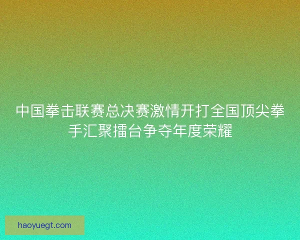 中国拳击联赛总决赛激情开打全国顶尖拳手汇聚擂台争夺年度荣耀 中国拳击联赛总决赛激情开打全国顶尖拳手汇聚擂台争夺年度荣耀