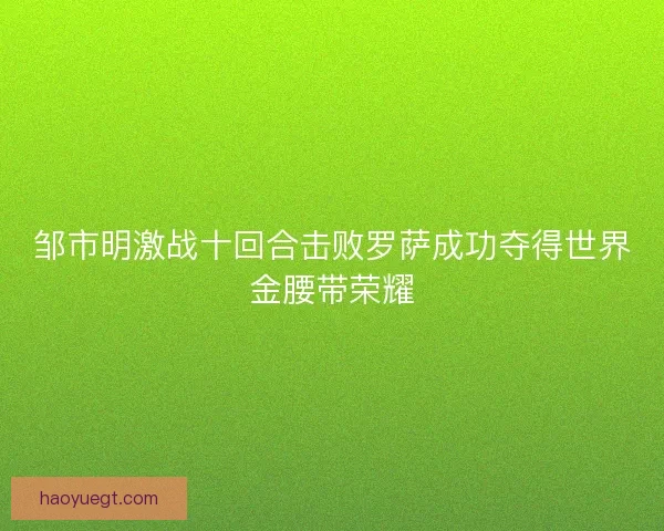邹市明激战十回合击败罗萨成功夺得世界金腰带荣耀