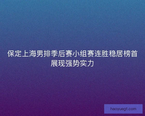 保定上海男排季后赛小组赛连胜稳居榜首展现强势实力
